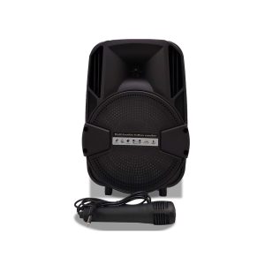 Corneta Bluetooth AO-811 8 Pulgadas Con Micrófono Karaoke