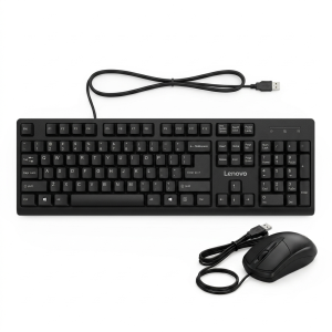 Kit Teclado Tradicional y Mouse Óptico Lenovo KM4900 USB